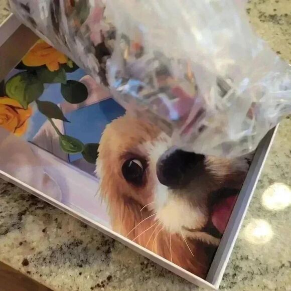 Bello Chiddo Happy Pets 1000 pc Jigsaw Puzzle - Picture 3 of 5